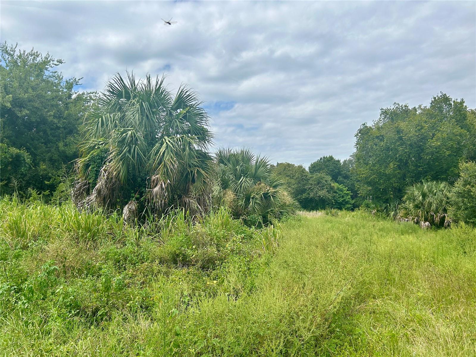 3502 MAIN ST, ZOLFO SPRINGS, FL, 33890