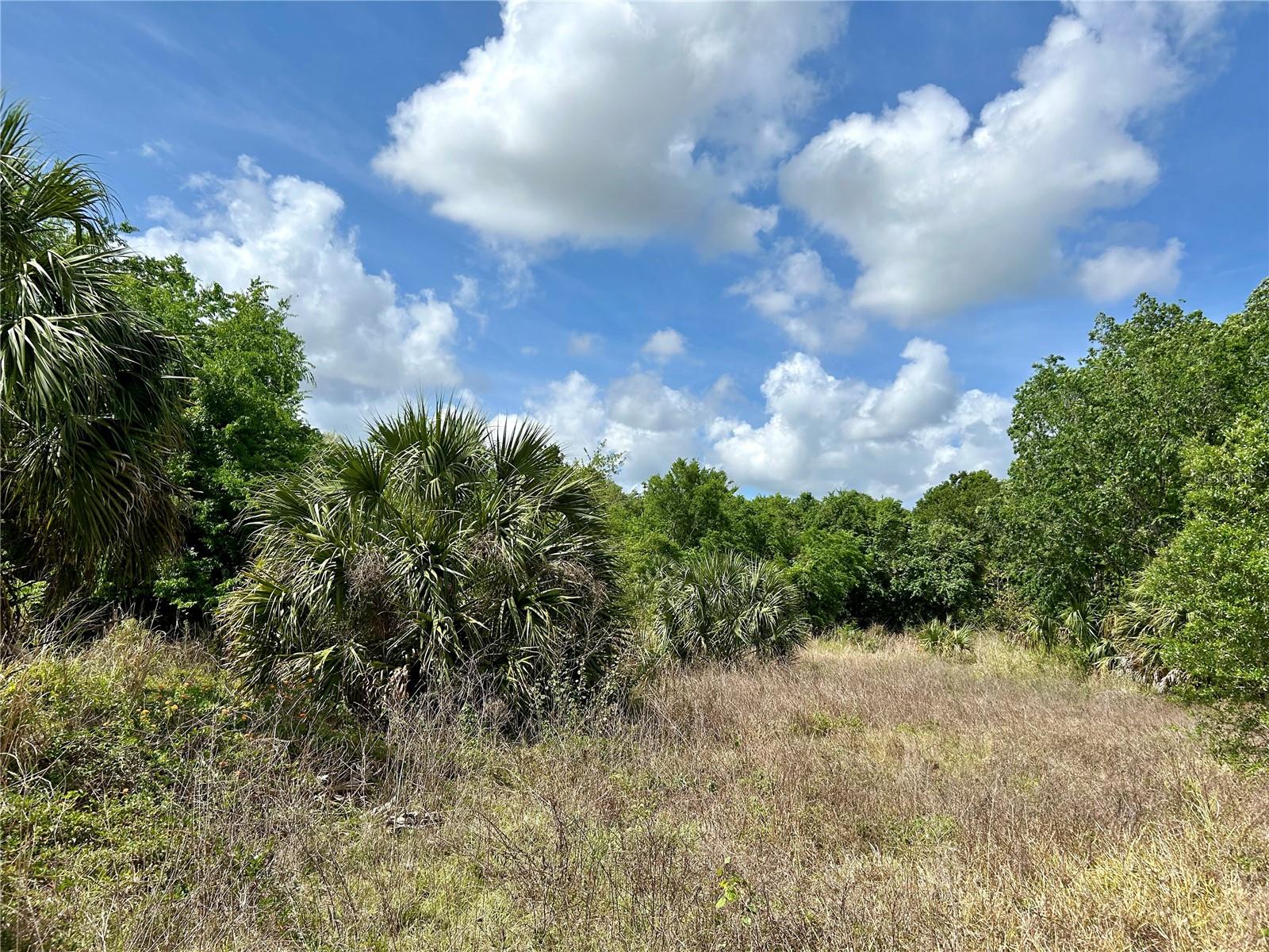 3502 MAIN ST, ZOLFO SPRINGS, FL, 33890