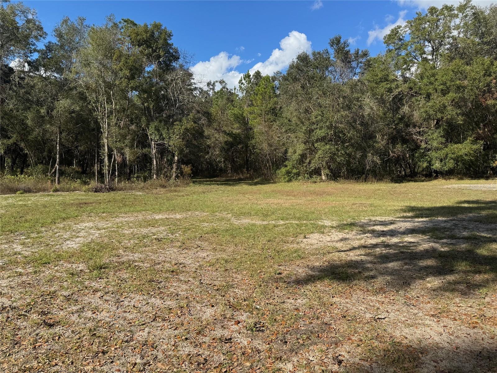 17780 SW 11 CT, NEWBERRY, FL, 32669