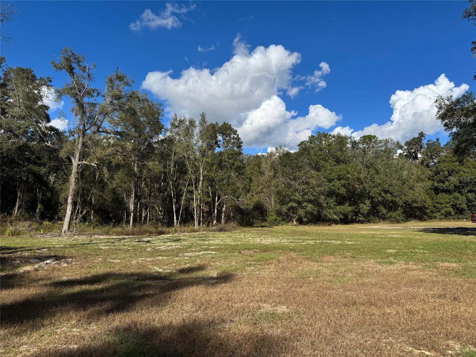 17780 SW 11 CT, NEWBERRY, FL, 32669