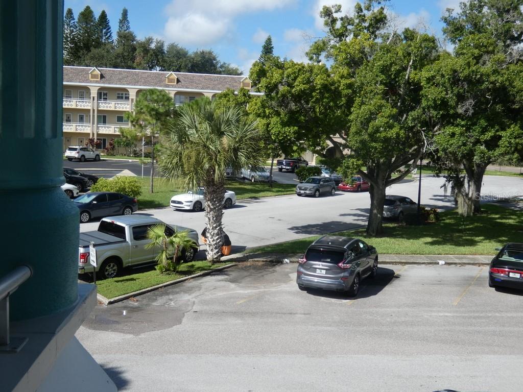 2370 JAMAICAN ST #56, CLEARWATER, FL, 33763