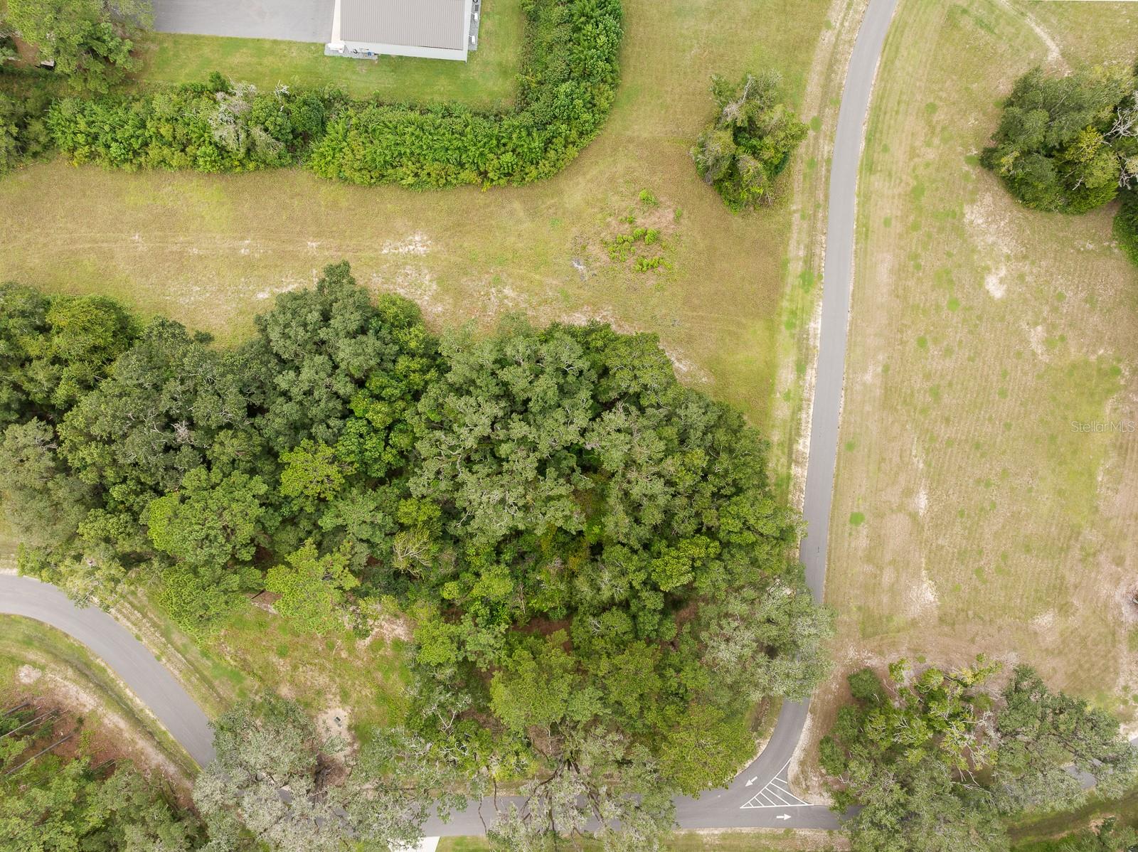 17287 SW 11 CT, NEWBERRY, FL, 32669