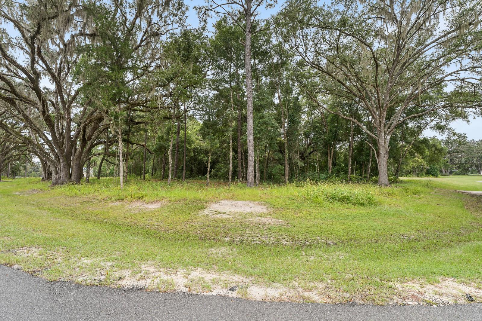 17287 SW 11 CT, NEWBERRY, FL, 32669