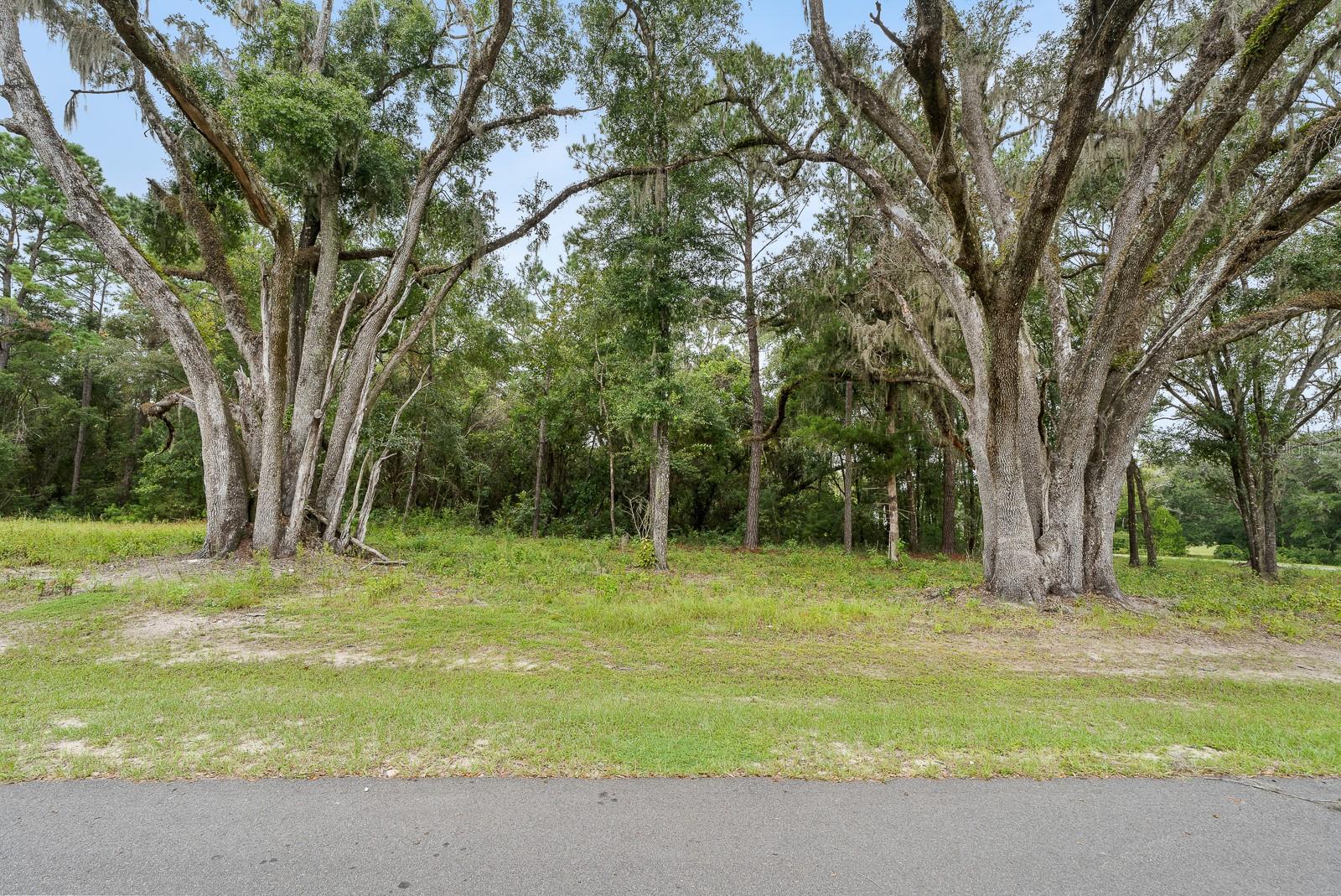 17287 SW 11 CT, NEWBERRY, FL, 32669