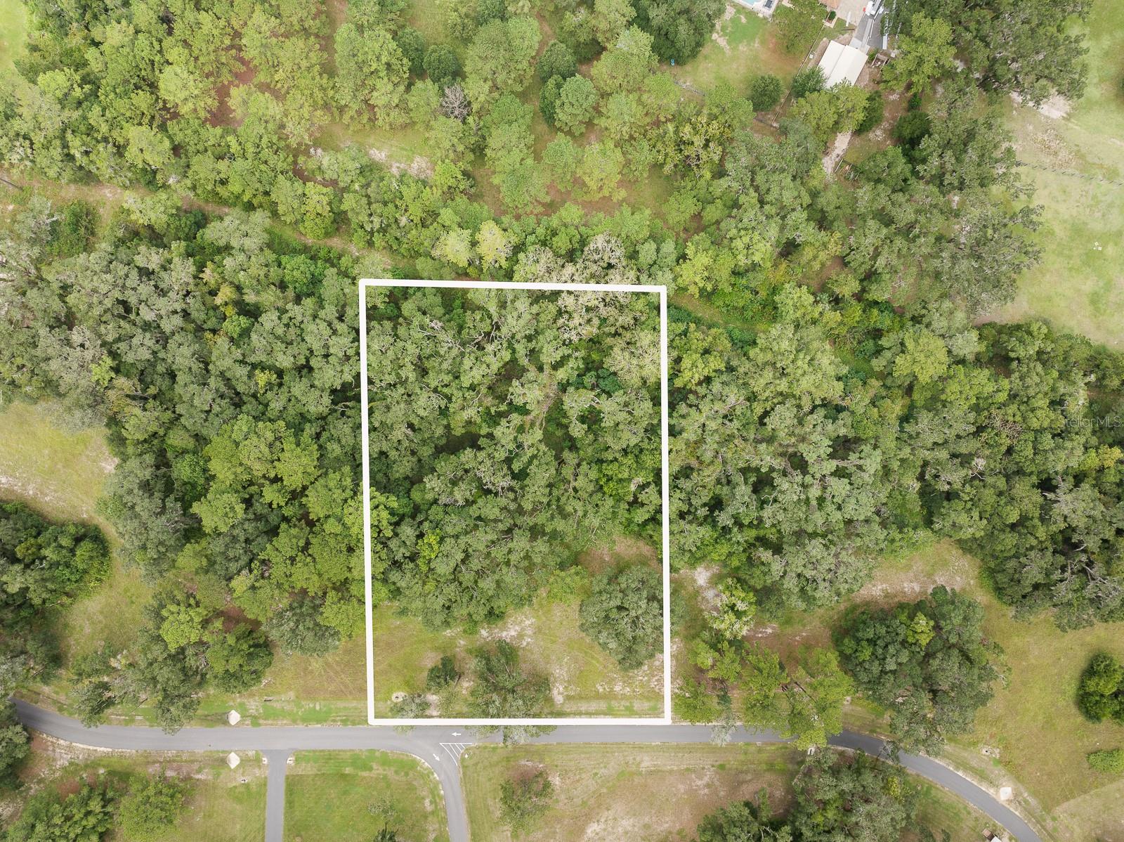 17520 SW 11 CT, NEWBERRY, FL, 32669