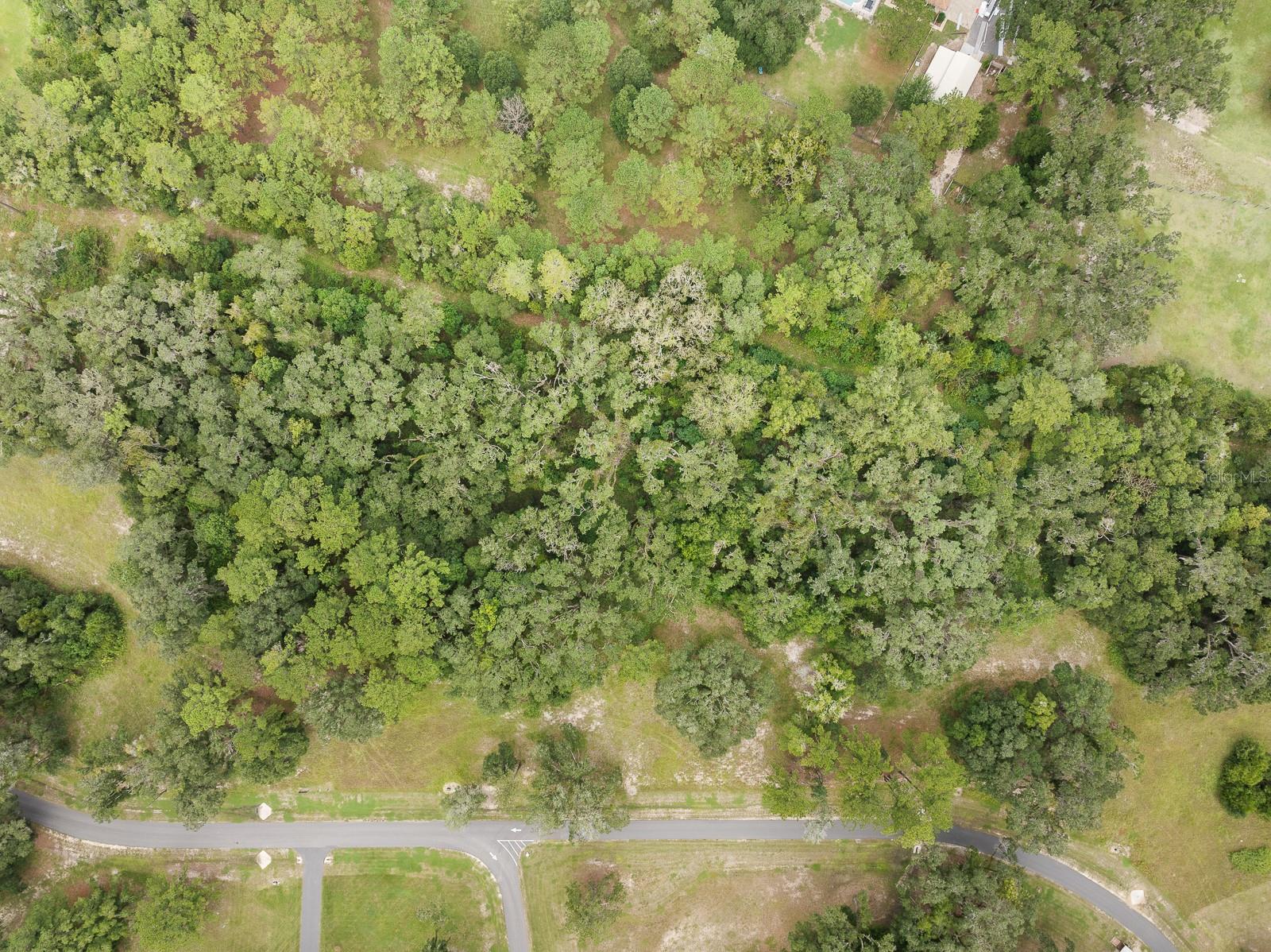 17520 SW 11 CT, NEWBERRY, FL, 32669