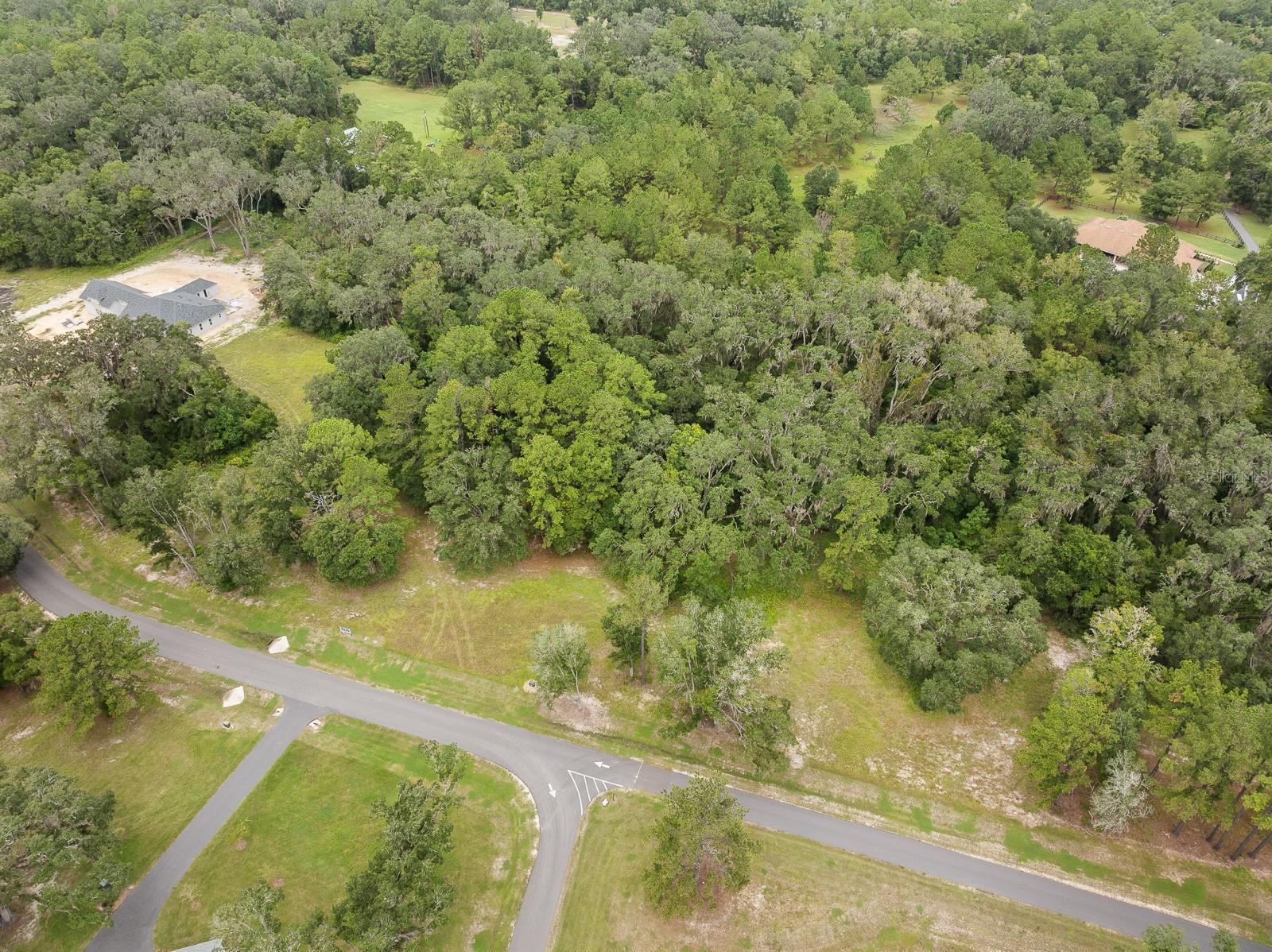 17520 SW 11 CT, NEWBERRY, FL, 32669