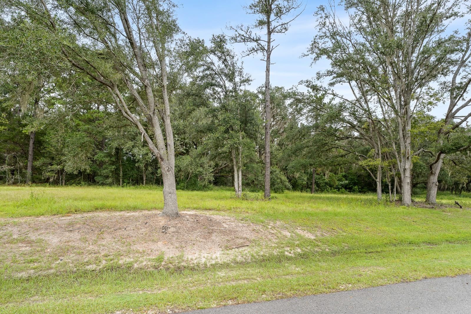 17520 SW 11 CT, NEWBERRY, FL, 32669
