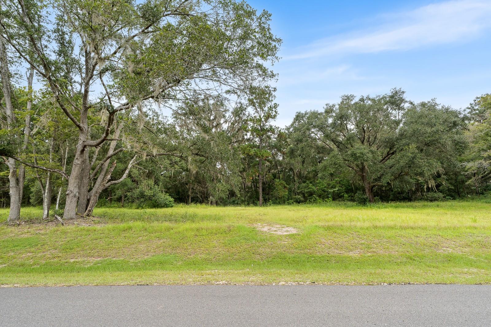 17520 SW 11 CT, NEWBERRY, FL, 32669
