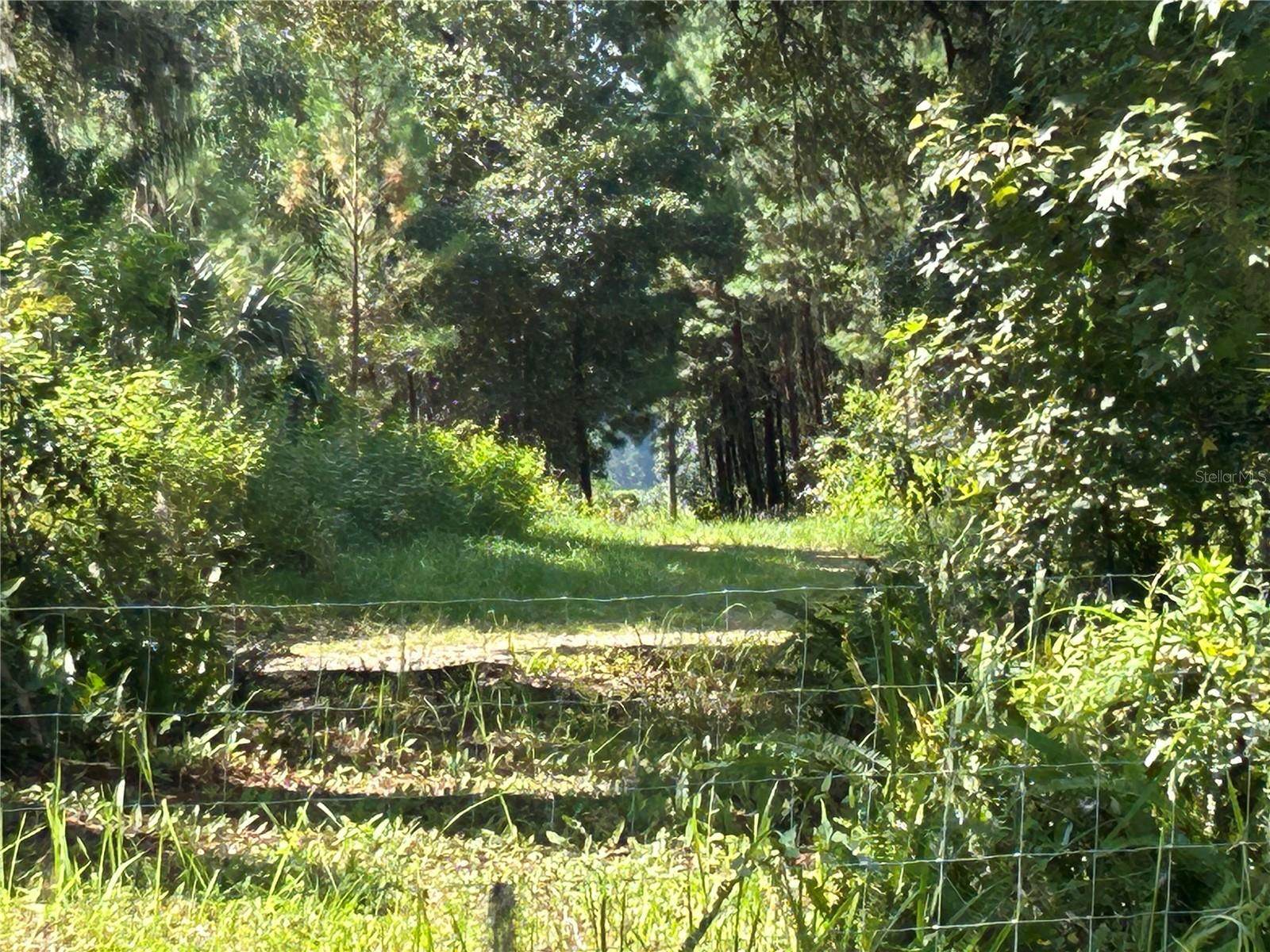 3265 NEFF LAKE RD, BROOKSVILLE, FL, 34602