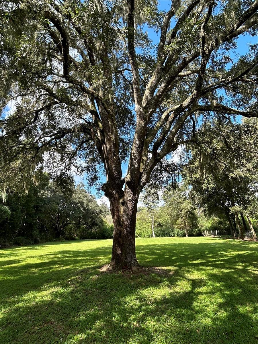 3265 NEFF LAKE RD, BROOKSVILLE, FL, 34602