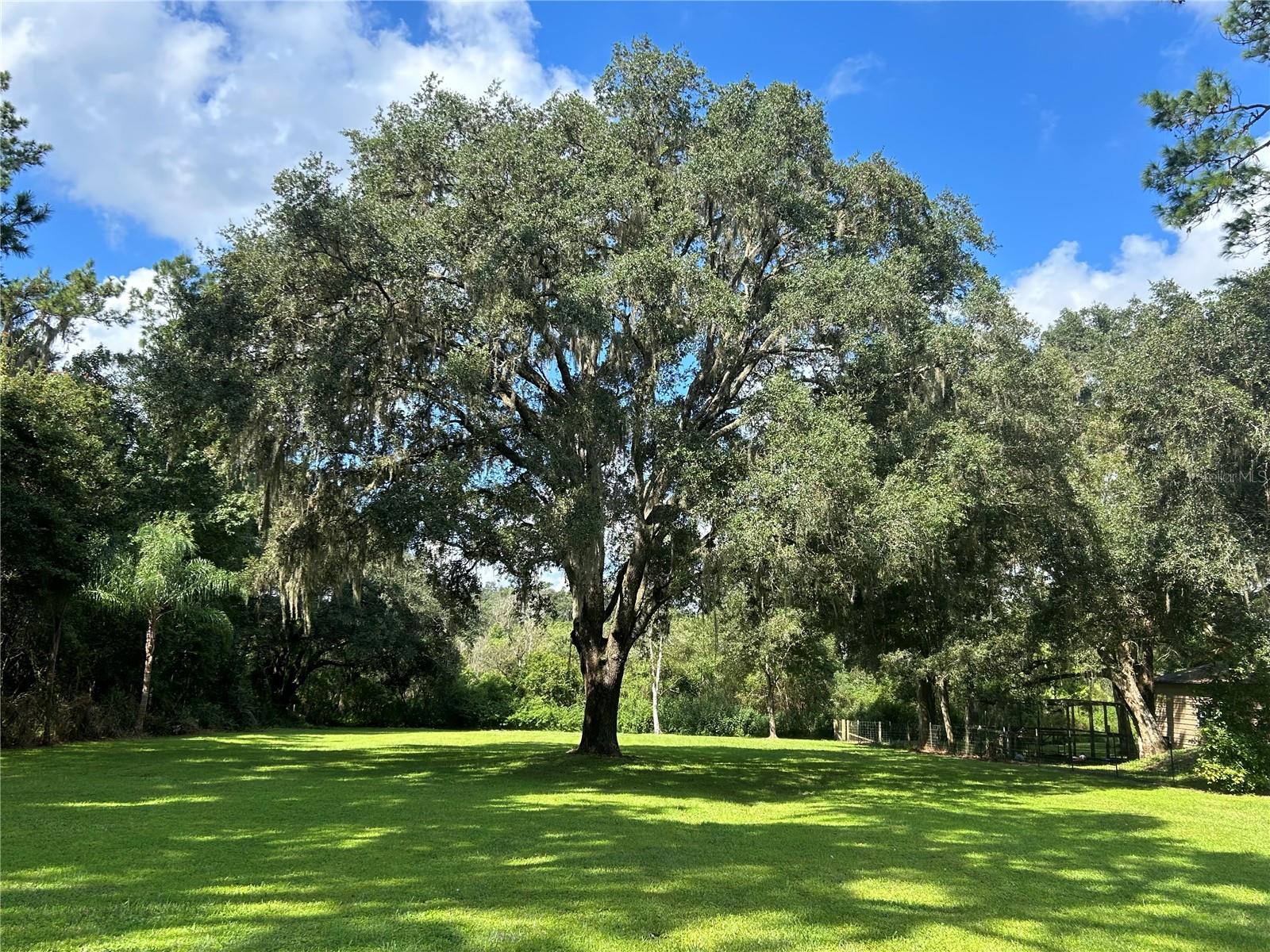 3265 NEFF LAKE RD, BROOKSVILLE, FL, 34602