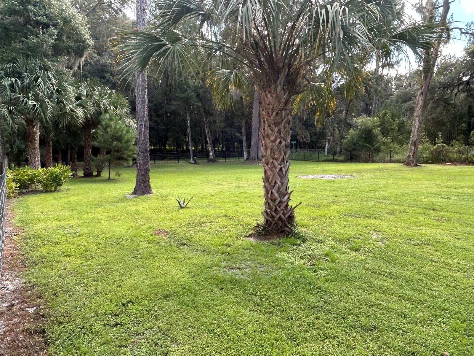 3265 NEFF LAKE RD, BROOKSVILLE, FL, 34602