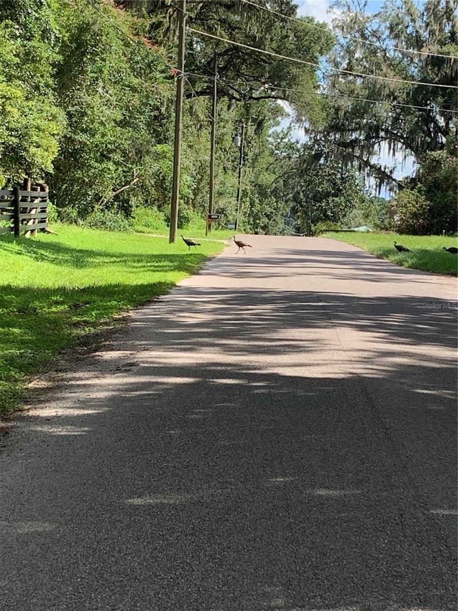 3265 NEFF LAKE RD, BROOKSVILLE, FL, 34602