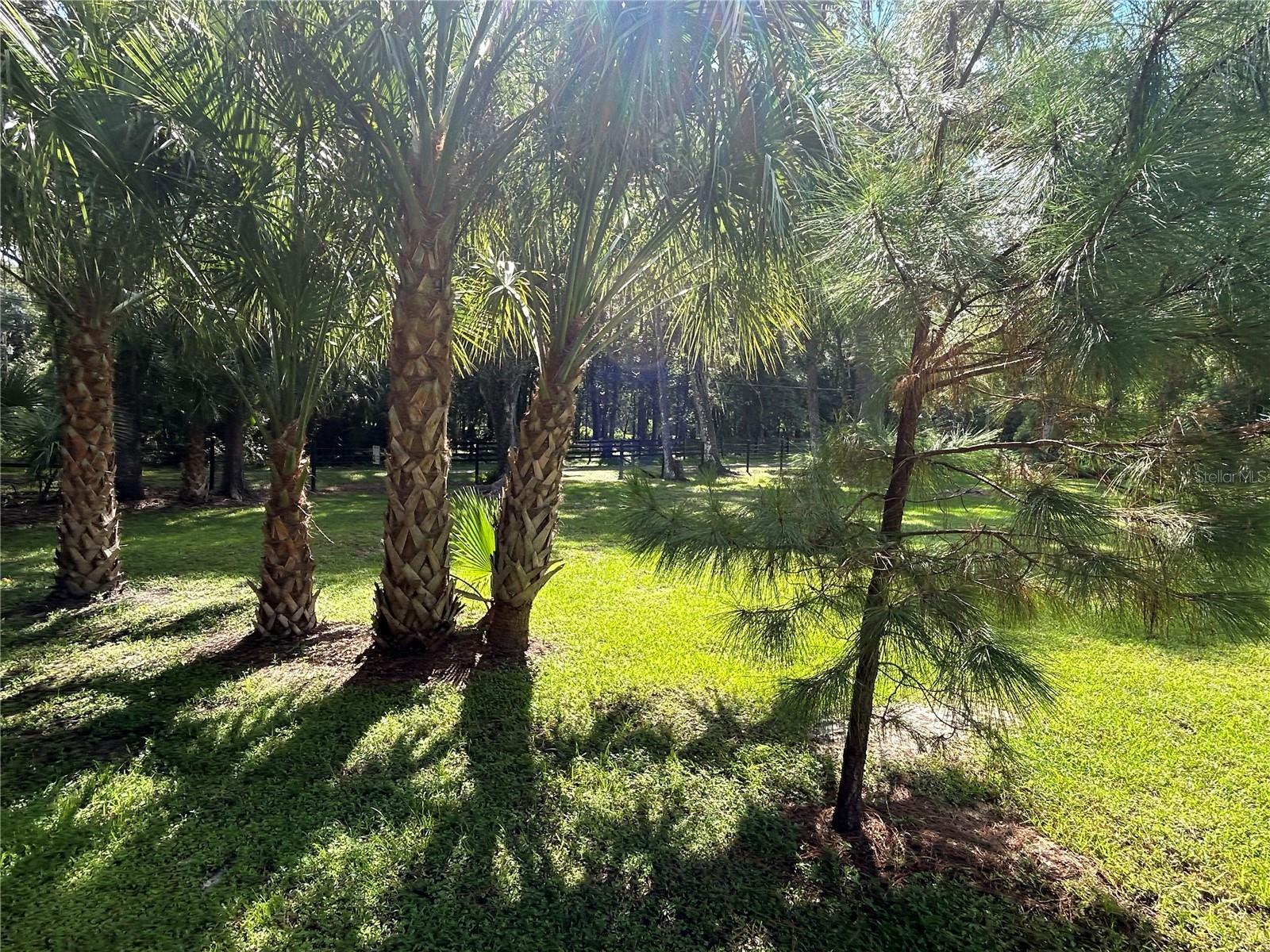3265 NEFF LAKE RD, BROOKSVILLE, FL, 34602