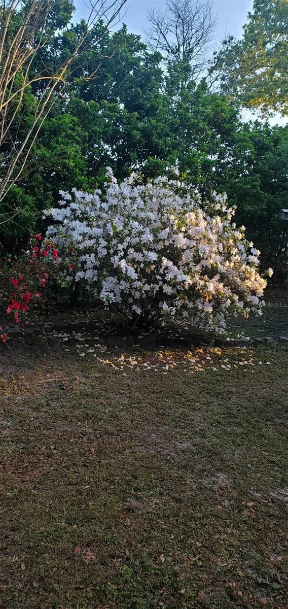 1783 W BEACH PLUM DR, CITRUS SPRINGS, FL, 34434