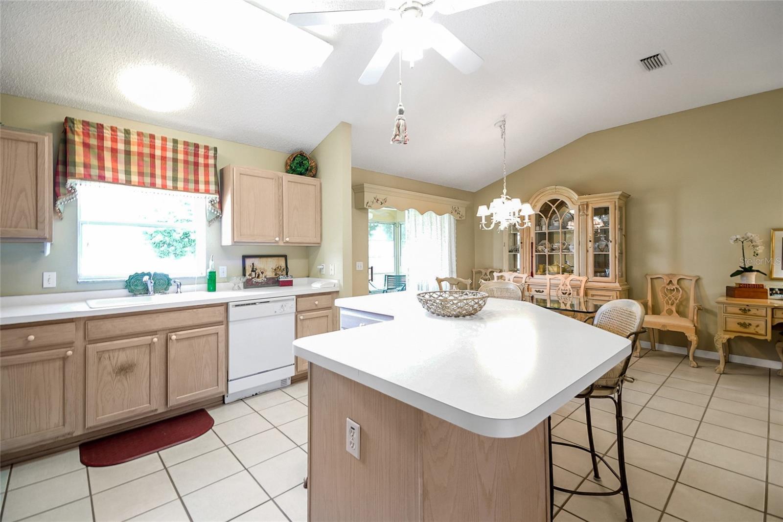 1213 EL ESPARZA LN, THE VILLAGES, FL, 32159