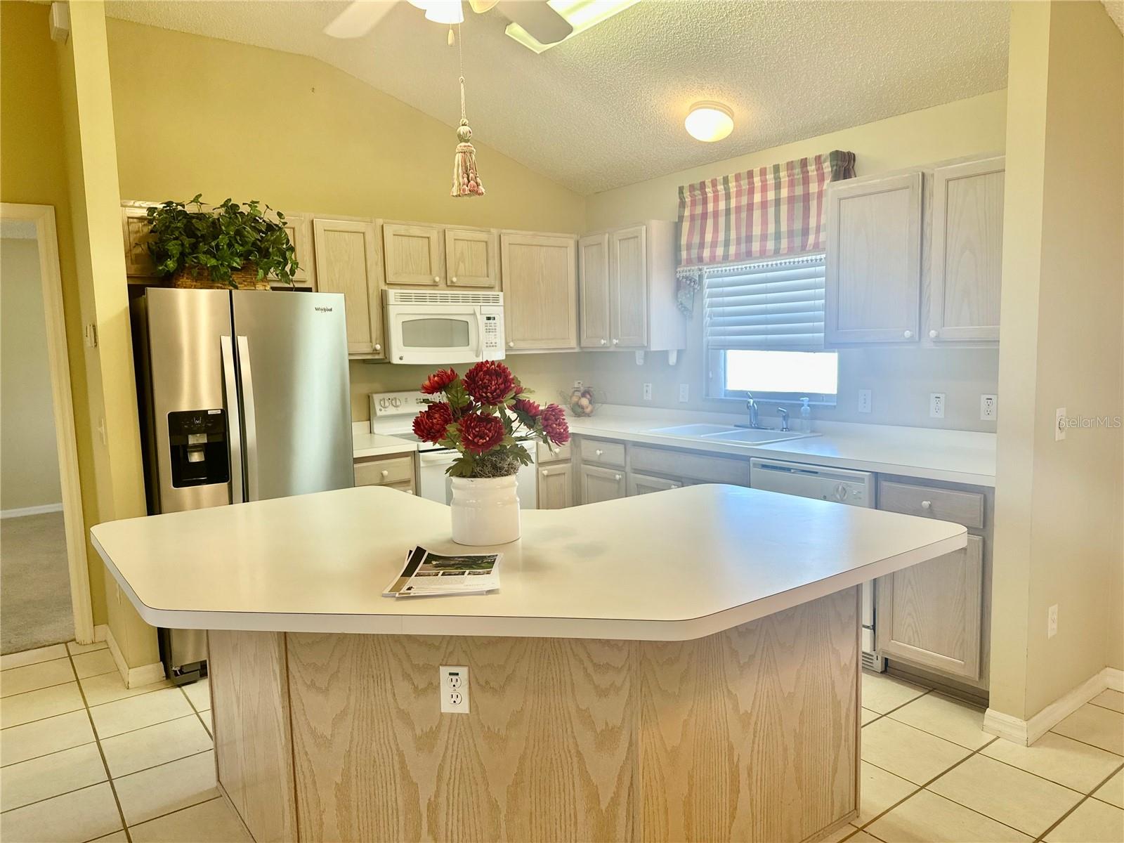 1213 EL ESPARZA LN, THE VILLAGES, FL, 32159