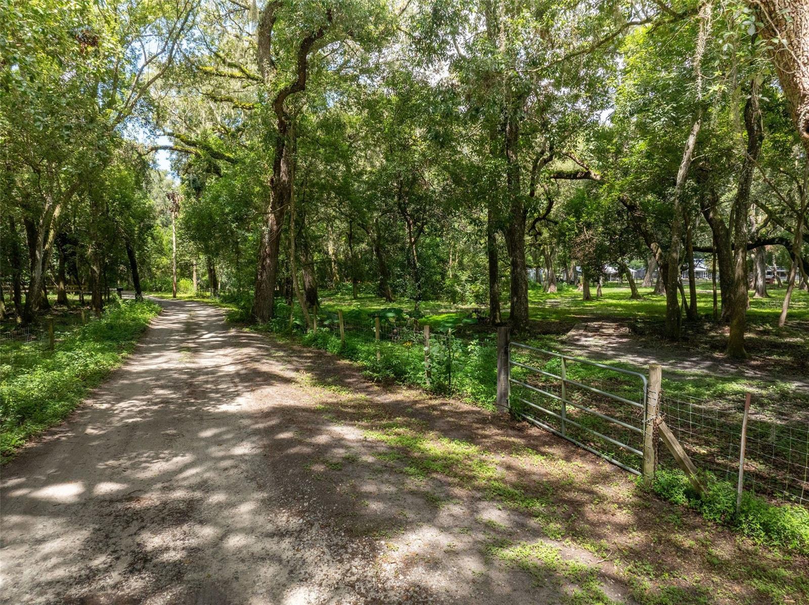 33719 SICKLER DR, DADE CITY, FL, 33523