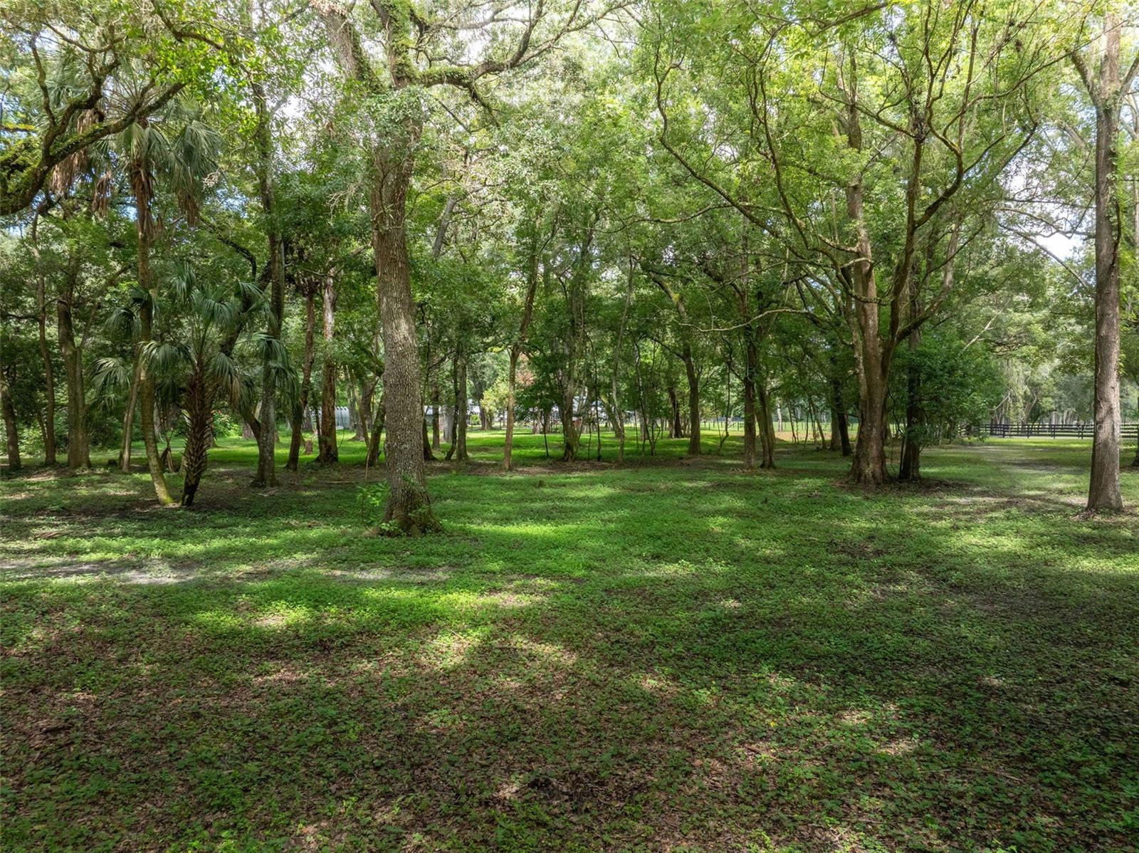 33719 SICKLER DR, DADE CITY, FL, 33523