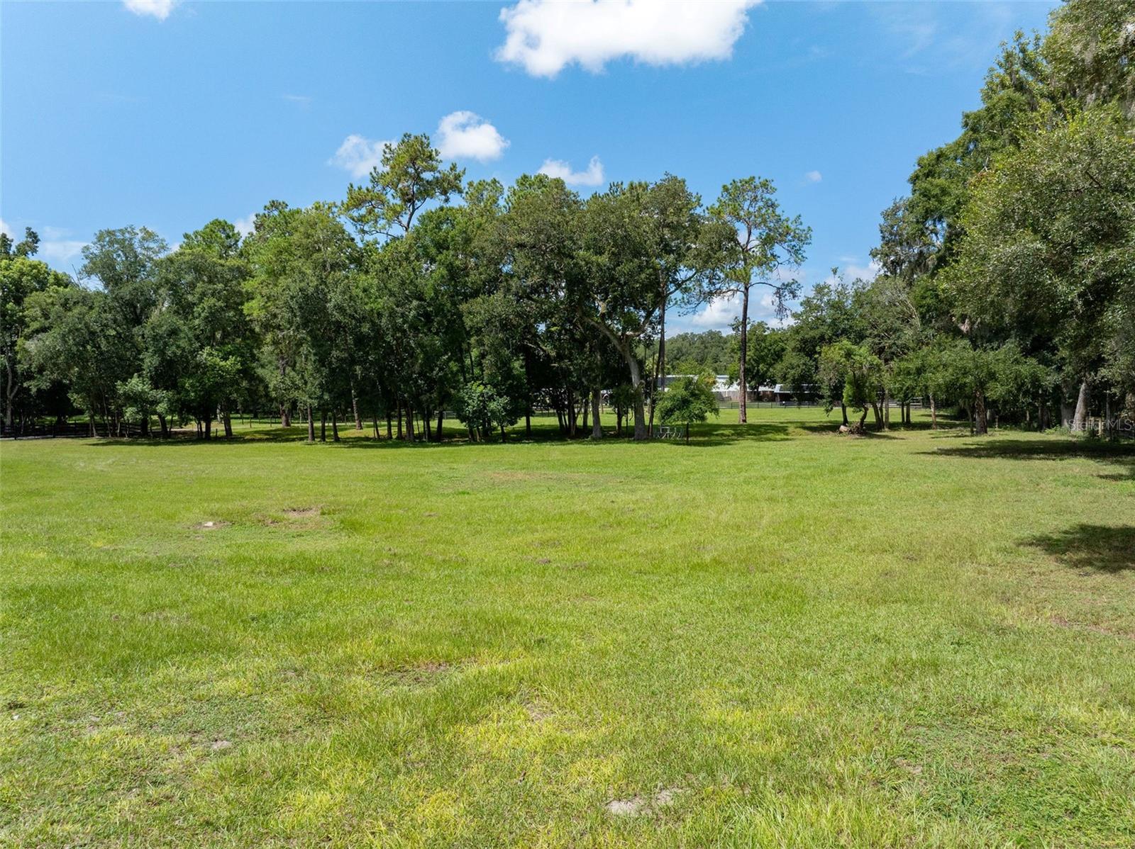 33719 SICKLER DR, DADE CITY, FL, 33523