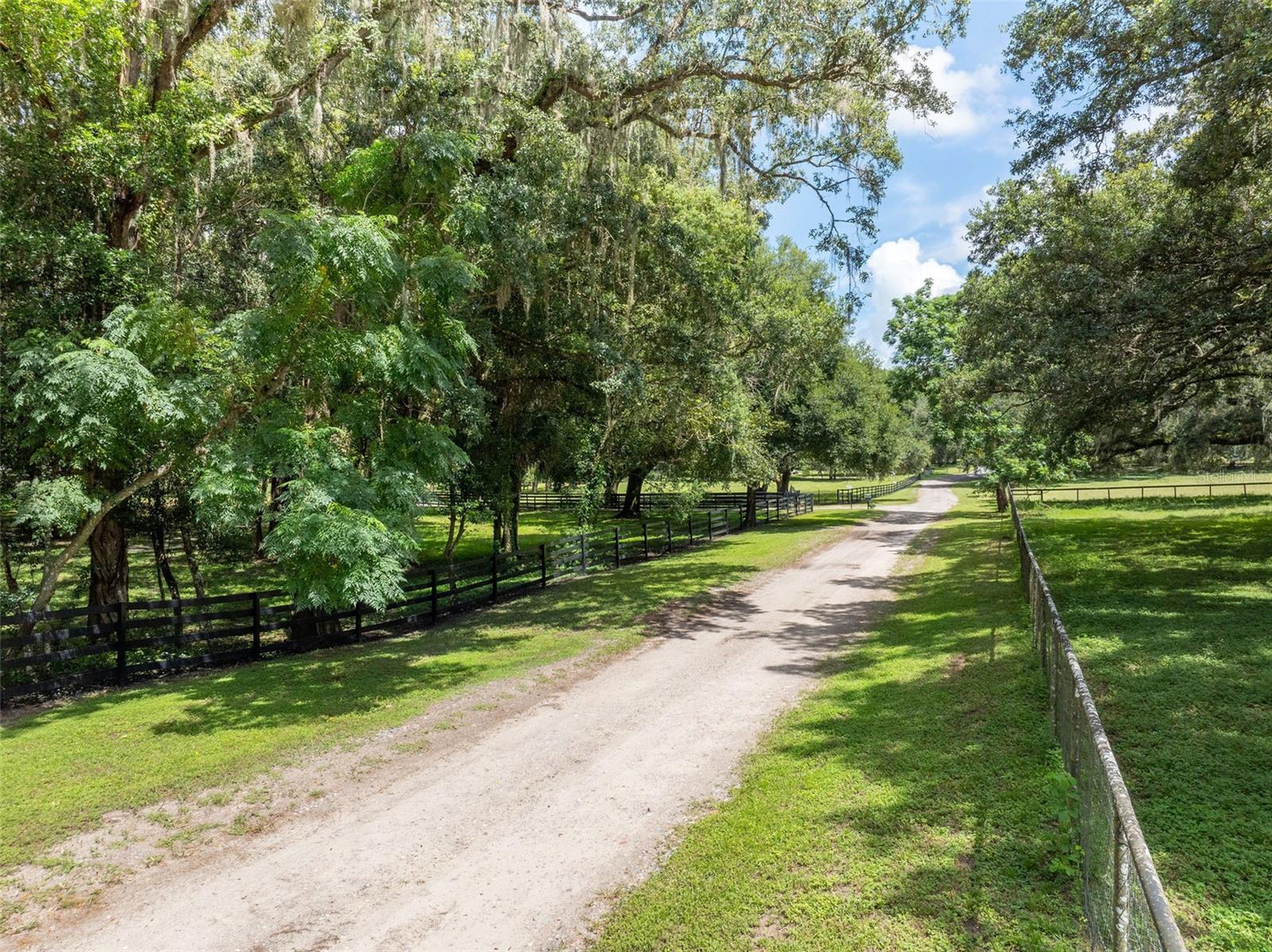 33719 SICKLER DR, DADE CITY, FL, 33523
