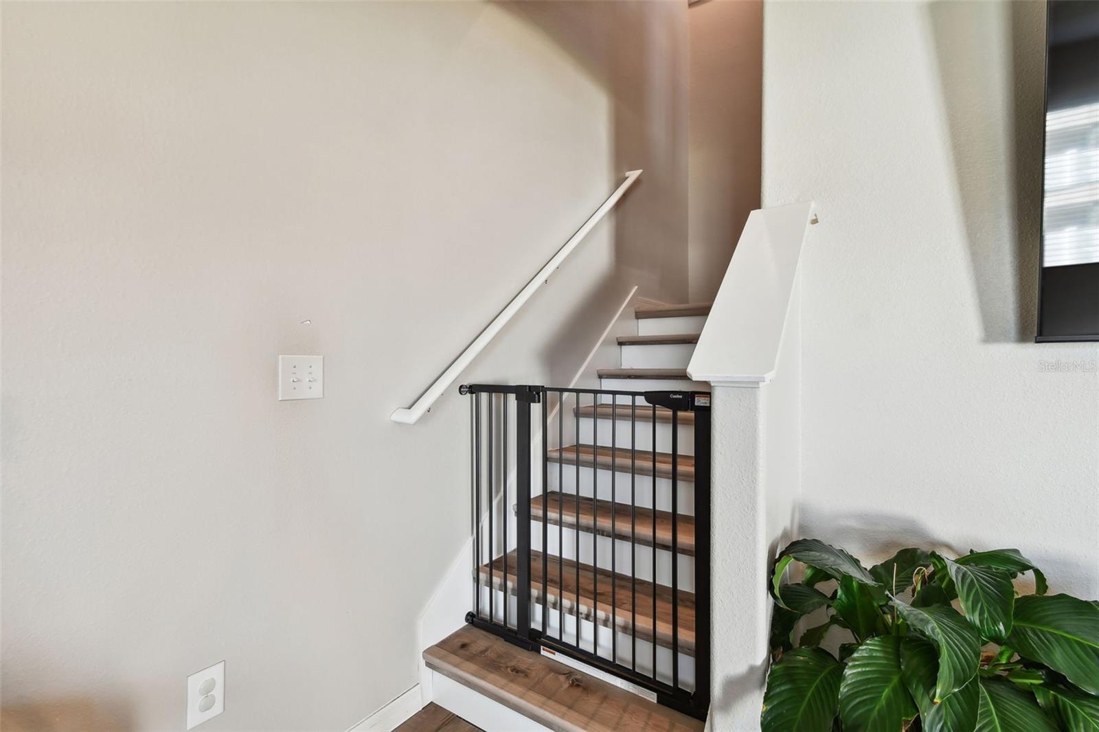 3172 LYTTON HALL DR, ZEPHYRHILLS, FL, 33540