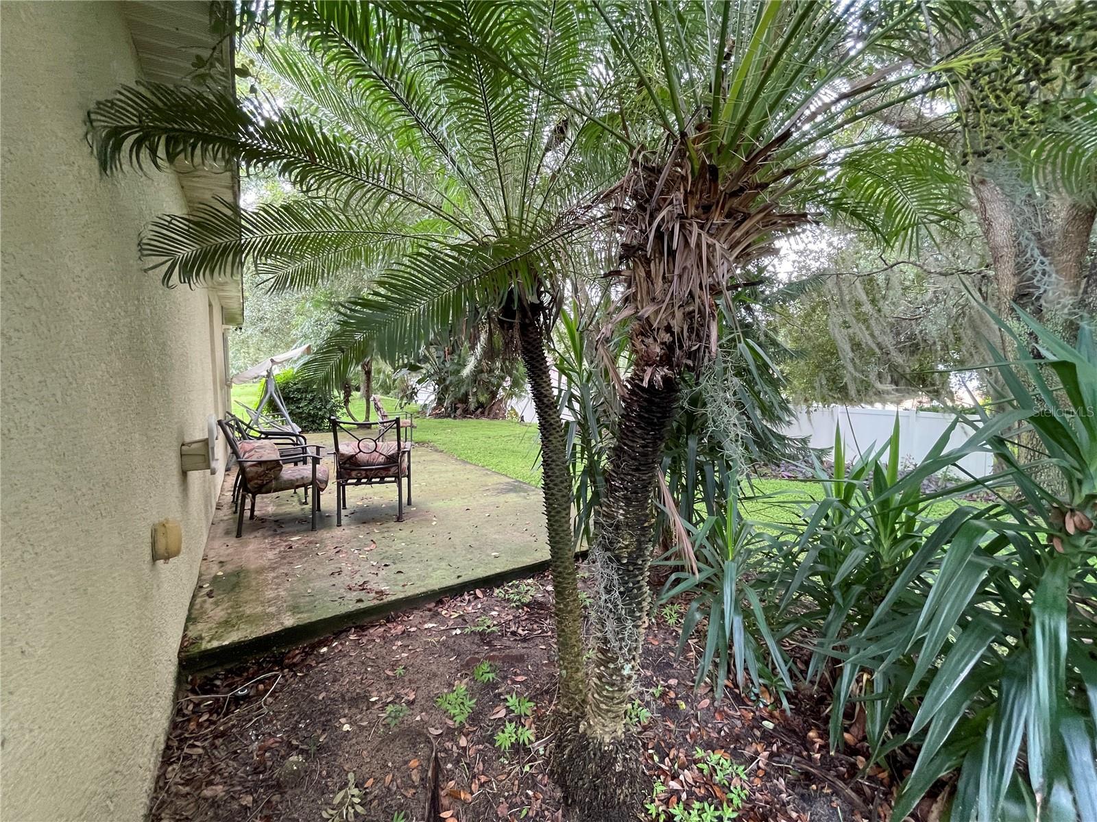185 WINDING COVE AVE, APOPKA, FL, 32703
