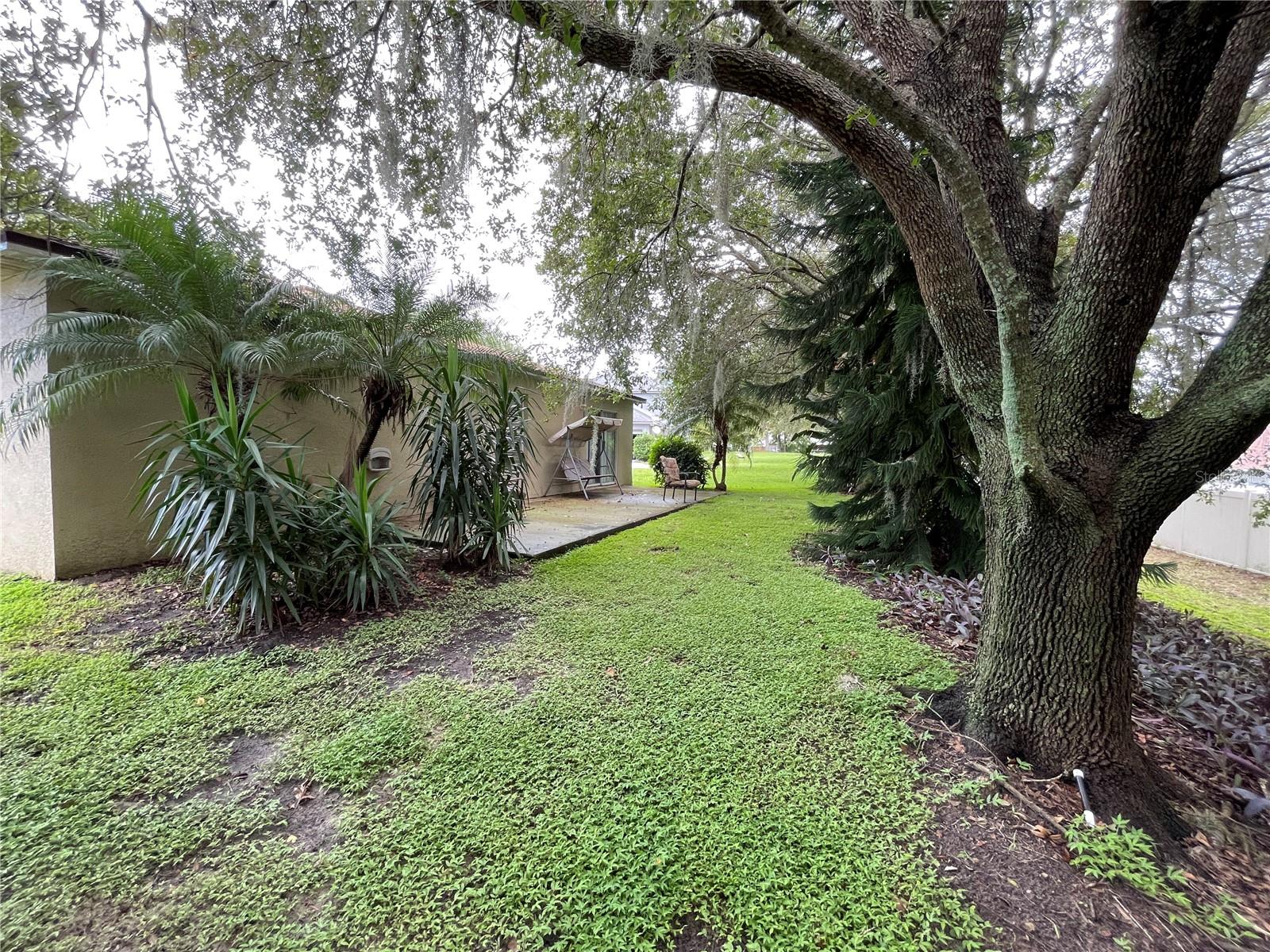 185 WINDING COVE AVE, APOPKA, FL, 32703