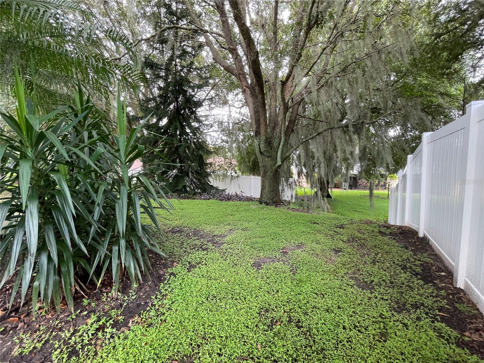 185 WINDING COVE AVE, APOPKA, FL, 32703
