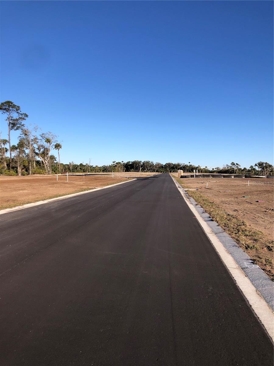 50 CORONADO RD, FLAGLER BEACH, FL, 32136