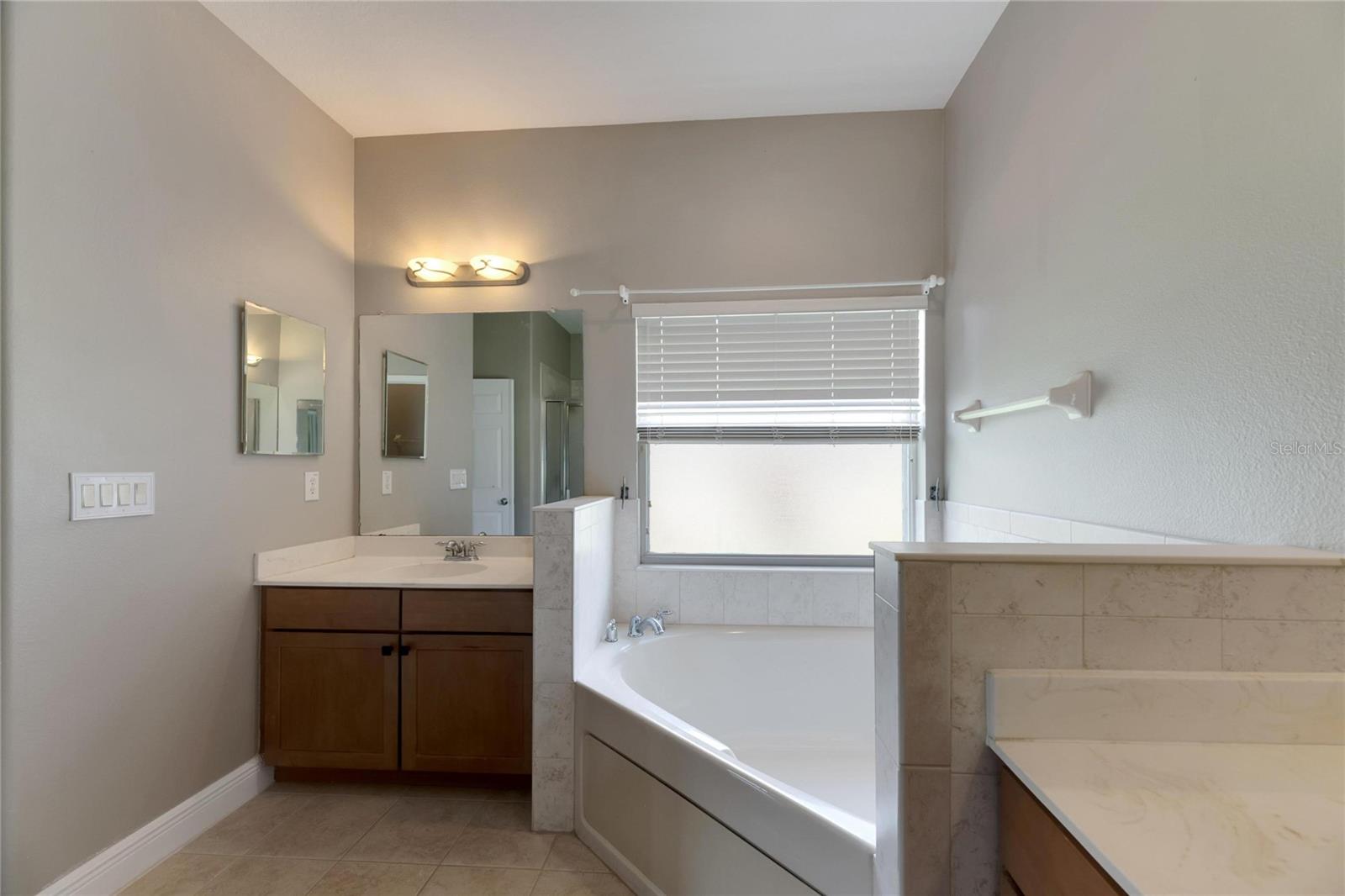 16149 BRIDGEPARK DR, LITHIA, FL, 33547