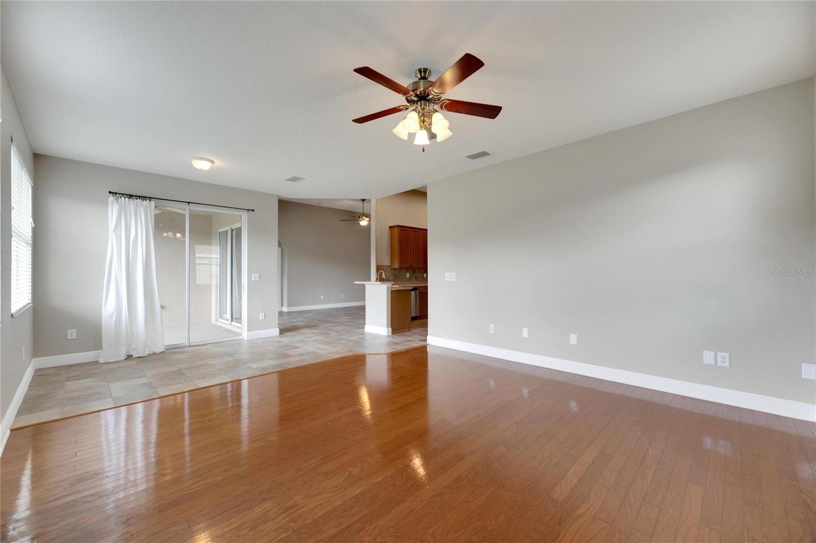 16149 BRIDGEPARK DR, LITHIA, FL, 33547