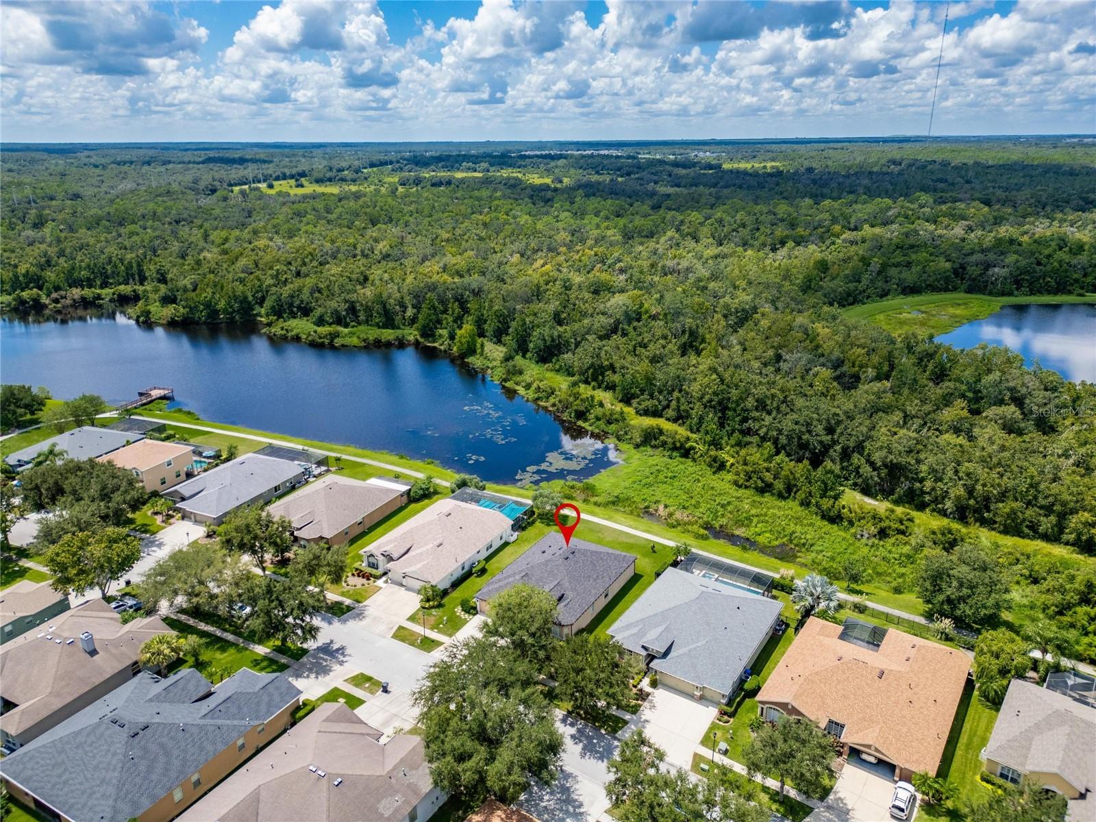 16149 BRIDGEPARK DR, LITHIA, FL, 33547