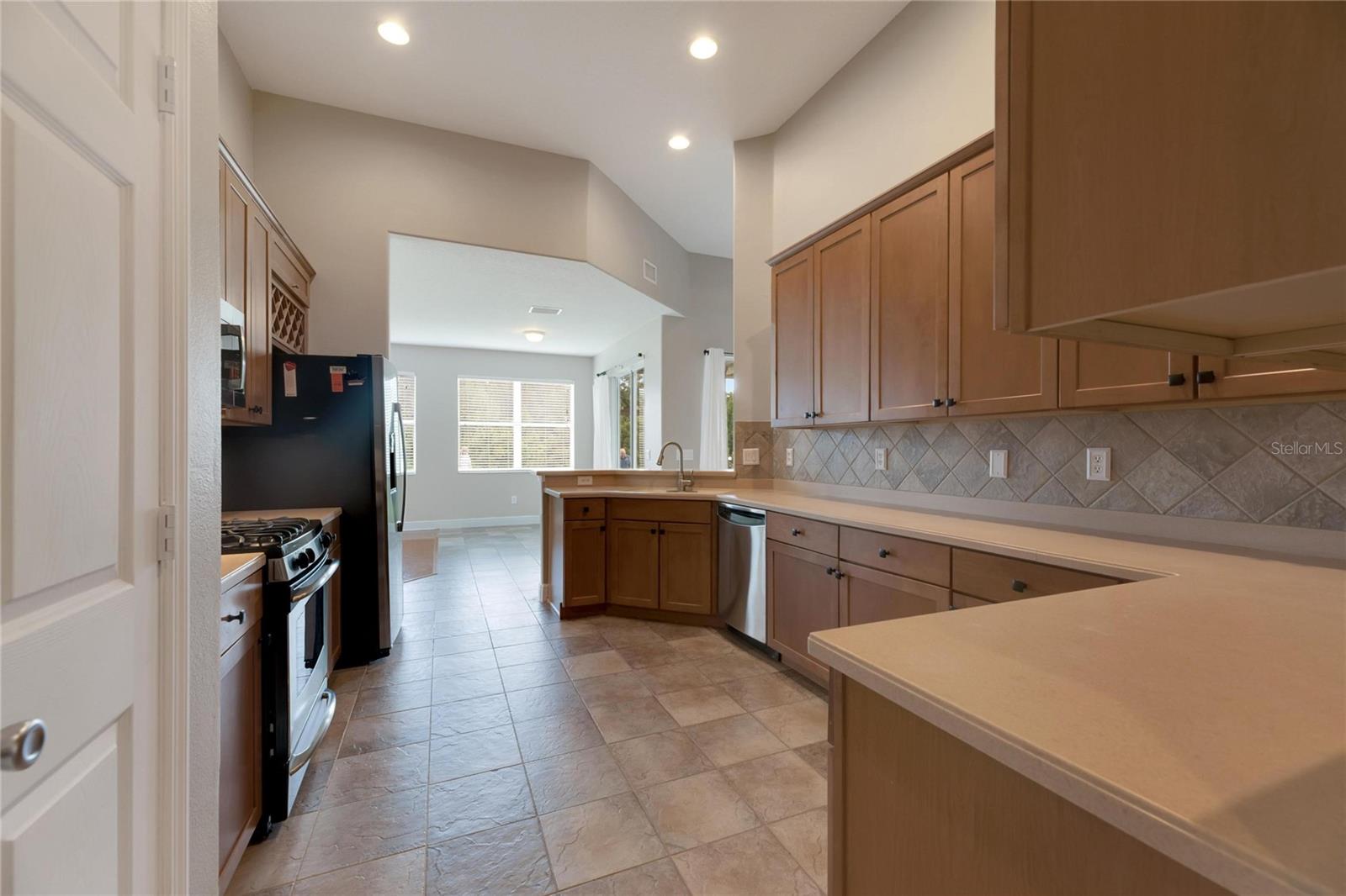 16149 BRIDGEPARK DR, LITHIA, FL, 33547