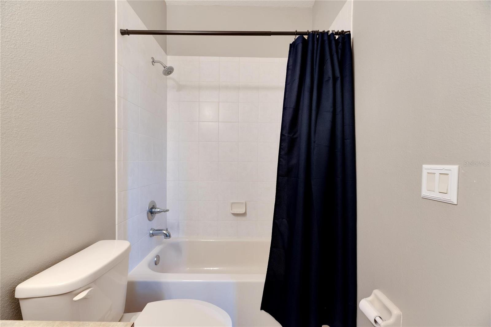 16149 BRIDGEPARK DR, LITHIA, FL, 33547