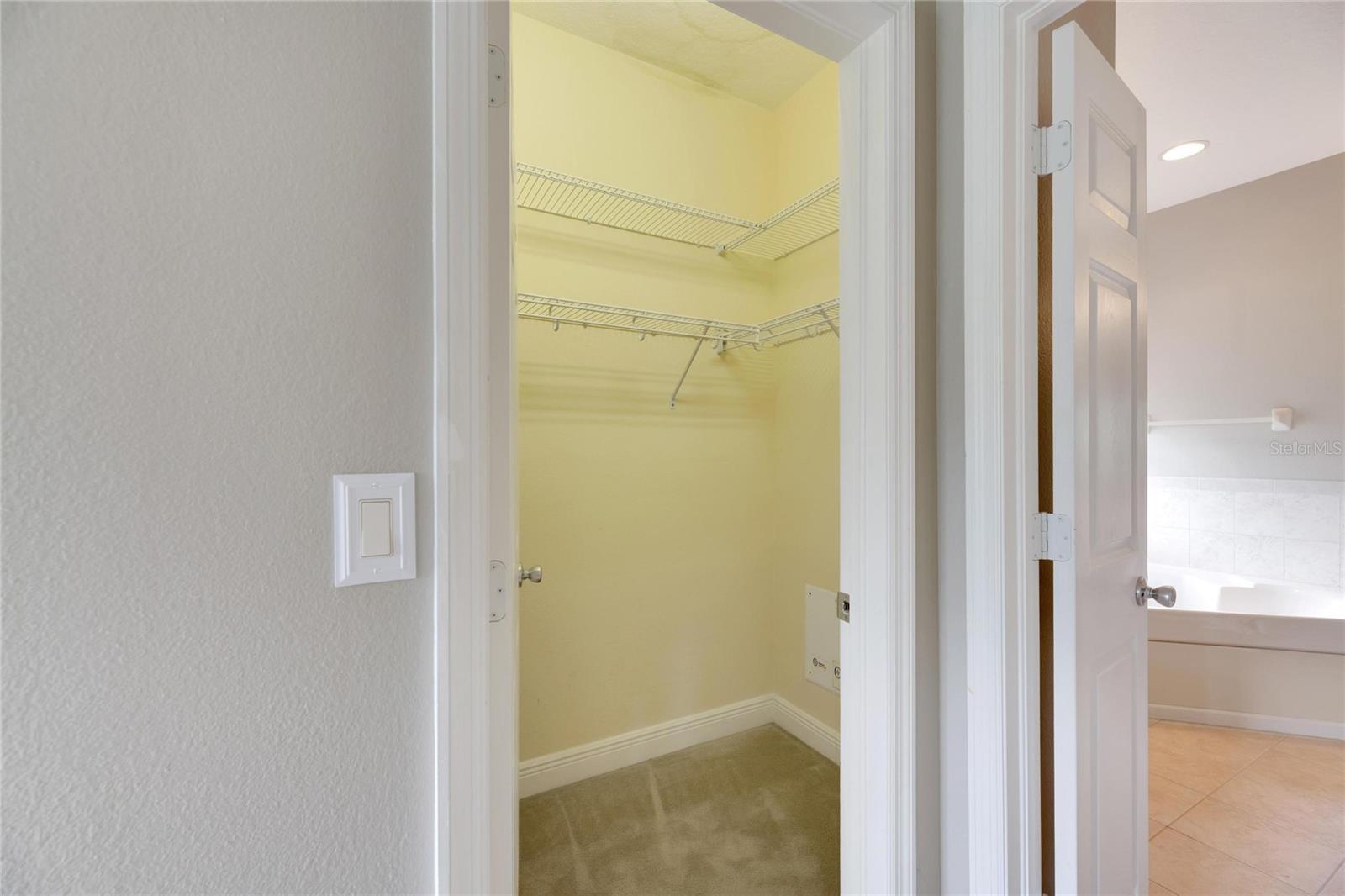 16149 BRIDGEPARK DR, LITHIA, FL, 33547
