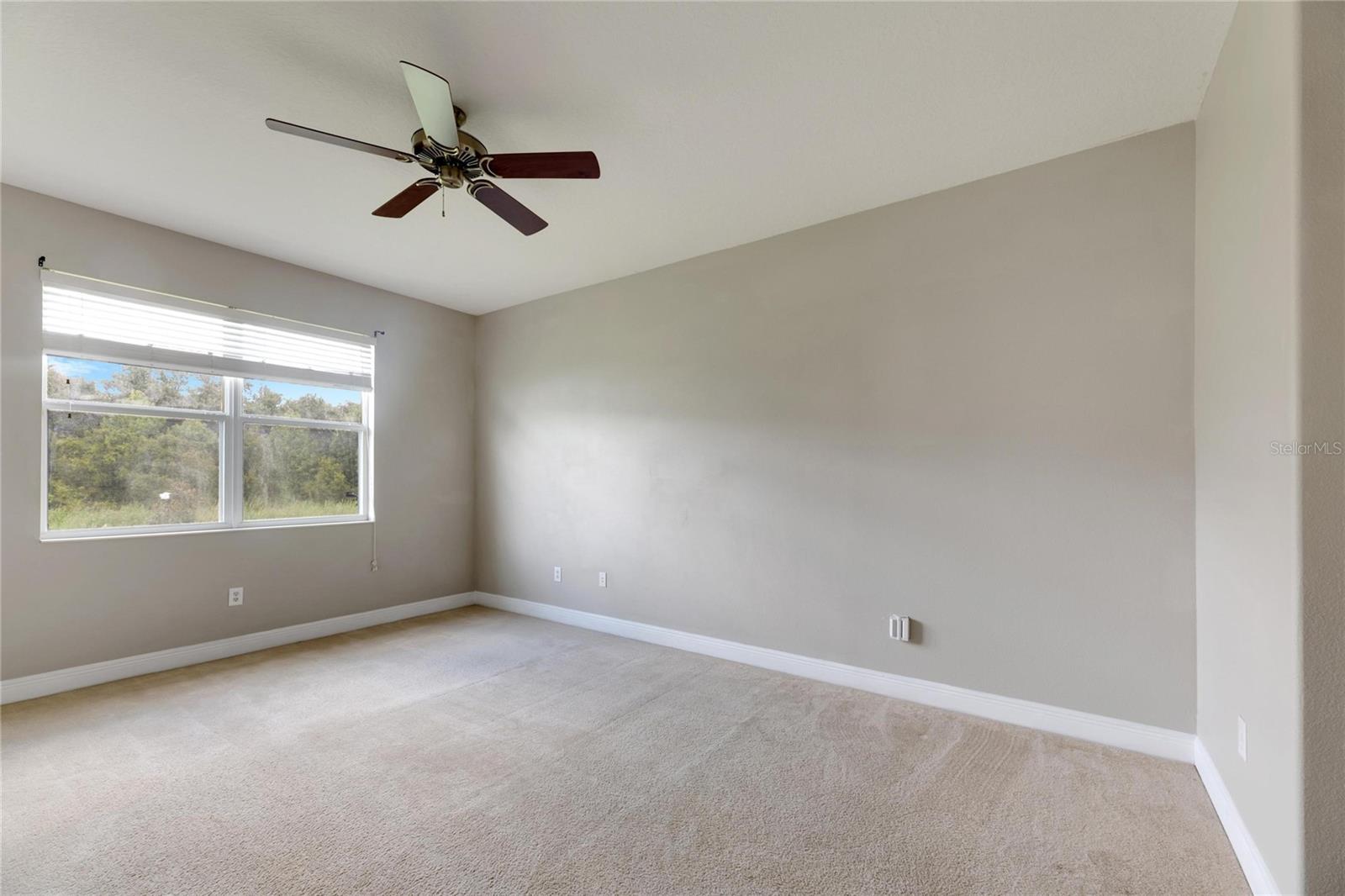 16149 BRIDGEPARK DR, LITHIA, FL, 33547