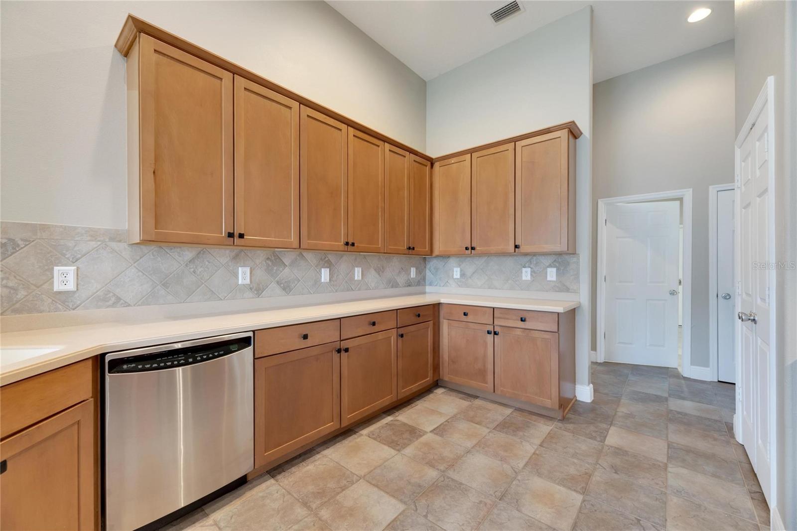 16149 BRIDGEPARK DR, LITHIA, FL, 33547