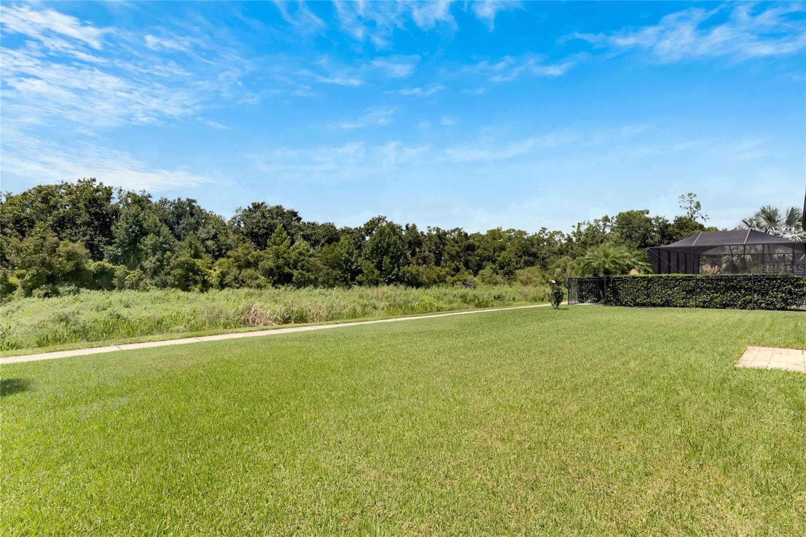 16149 BRIDGEPARK DR, LITHIA, FL, 33547