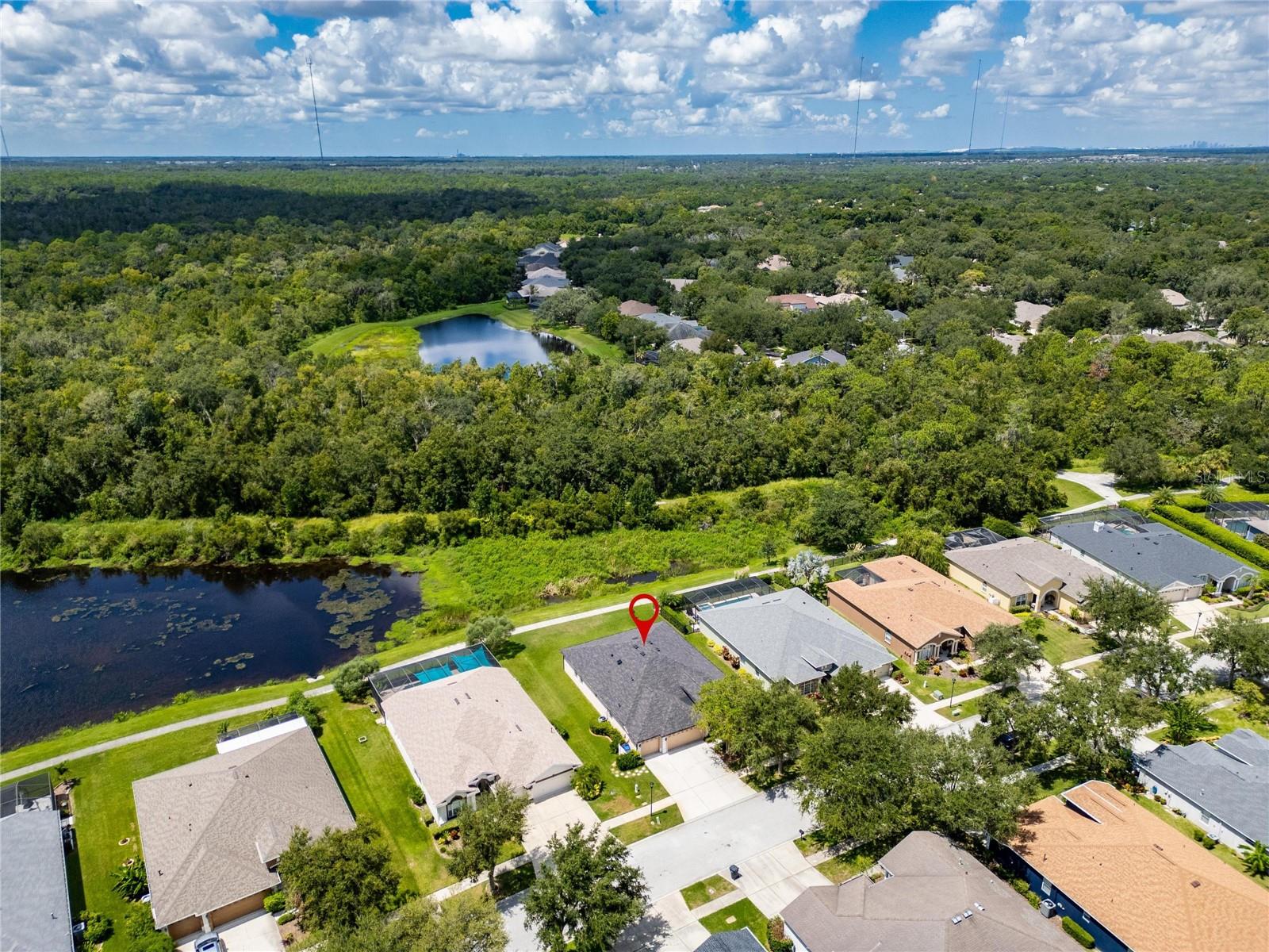 16149 BRIDGEPARK DR, LITHIA, FL, 33547