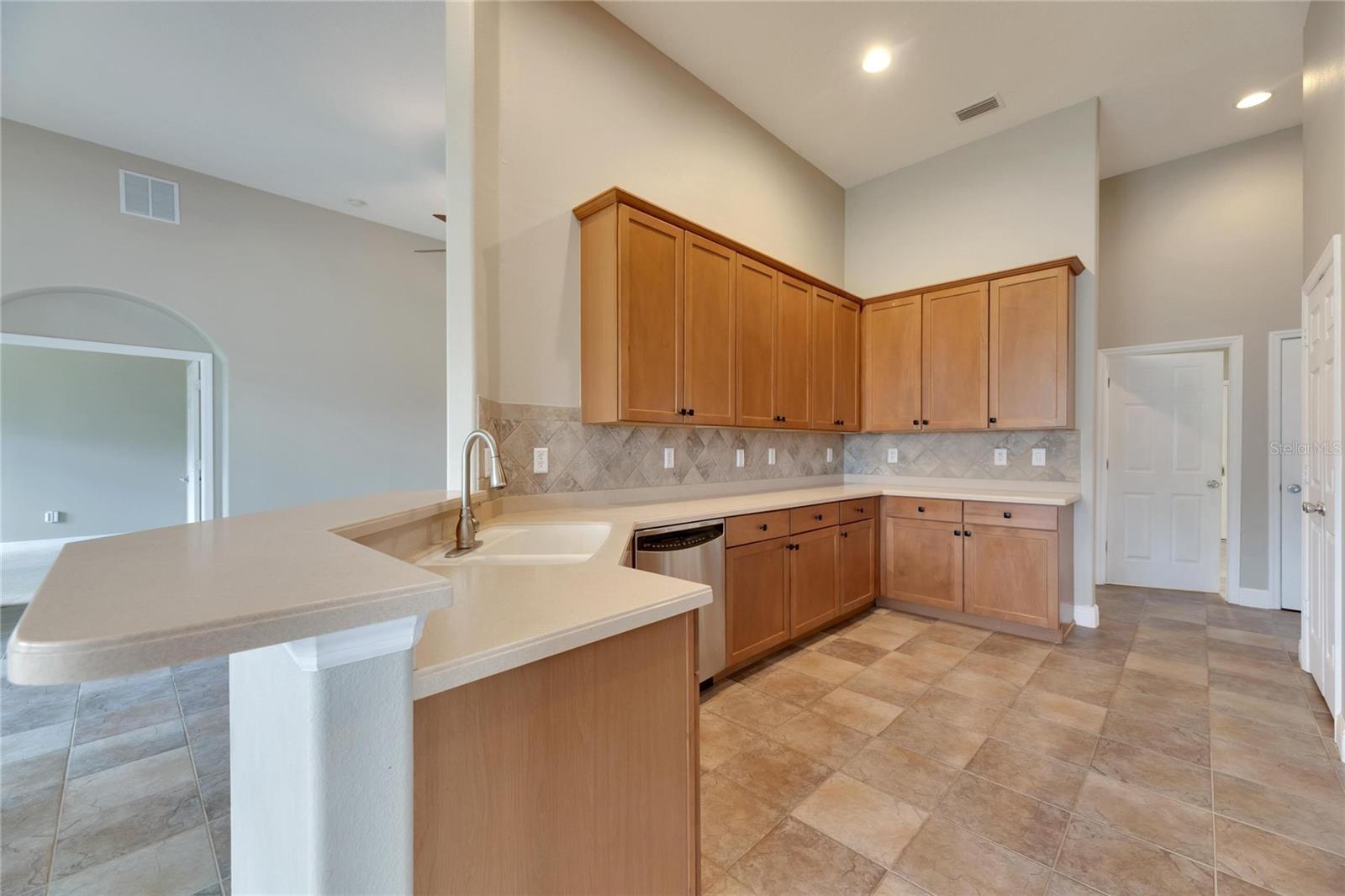 16149 BRIDGEPARK DR, LITHIA, FL, 33547
