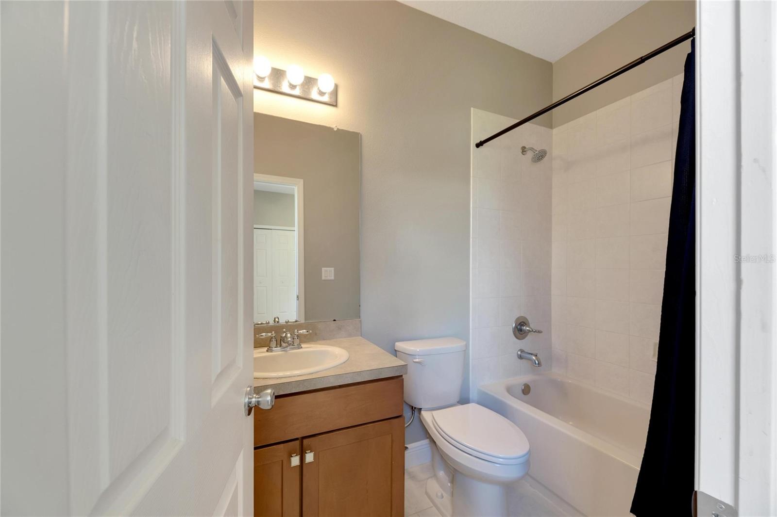 16149 BRIDGEPARK DR, LITHIA, FL, 33547