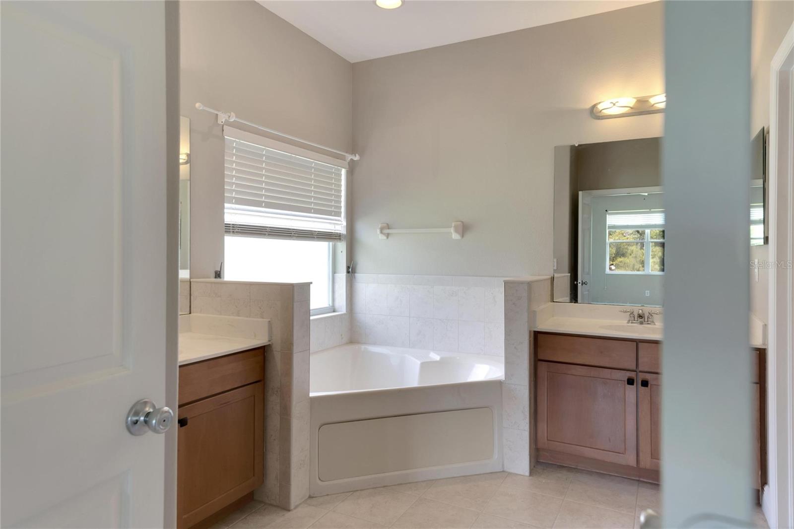16149 BRIDGEPARK DR, LITHIA, FL, 33547