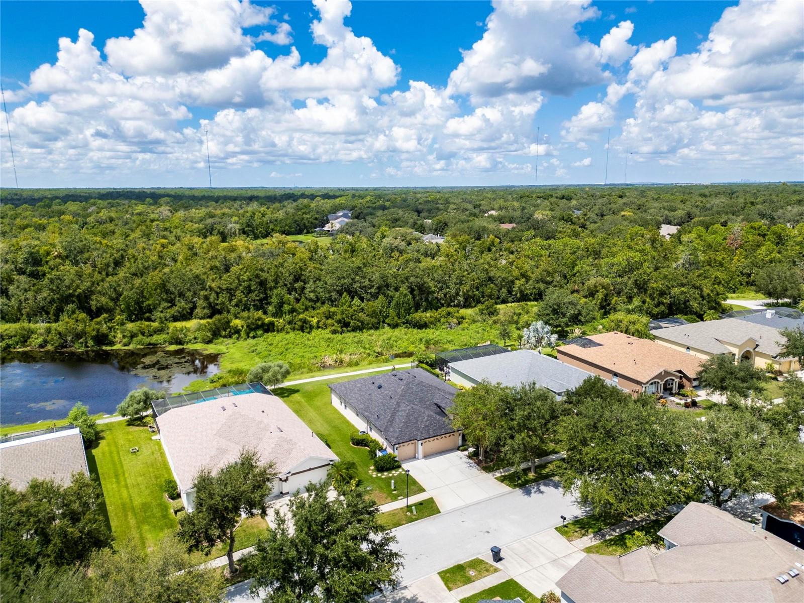 16149 BRIDGEPARK DR, LITHIA, FL, 33547