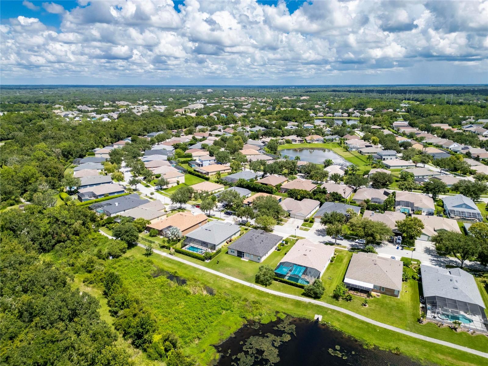 16149 BRIDGEPARK DR, LITHIA, FL, 33547