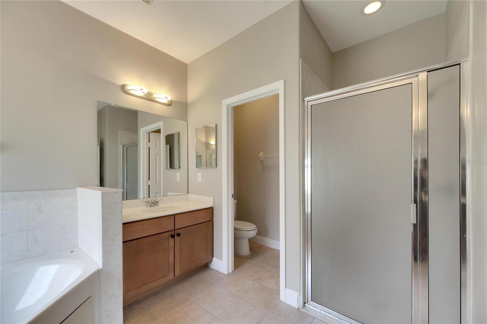 16149 BRIDGEPARK DR, LITHIA, FL, 33547