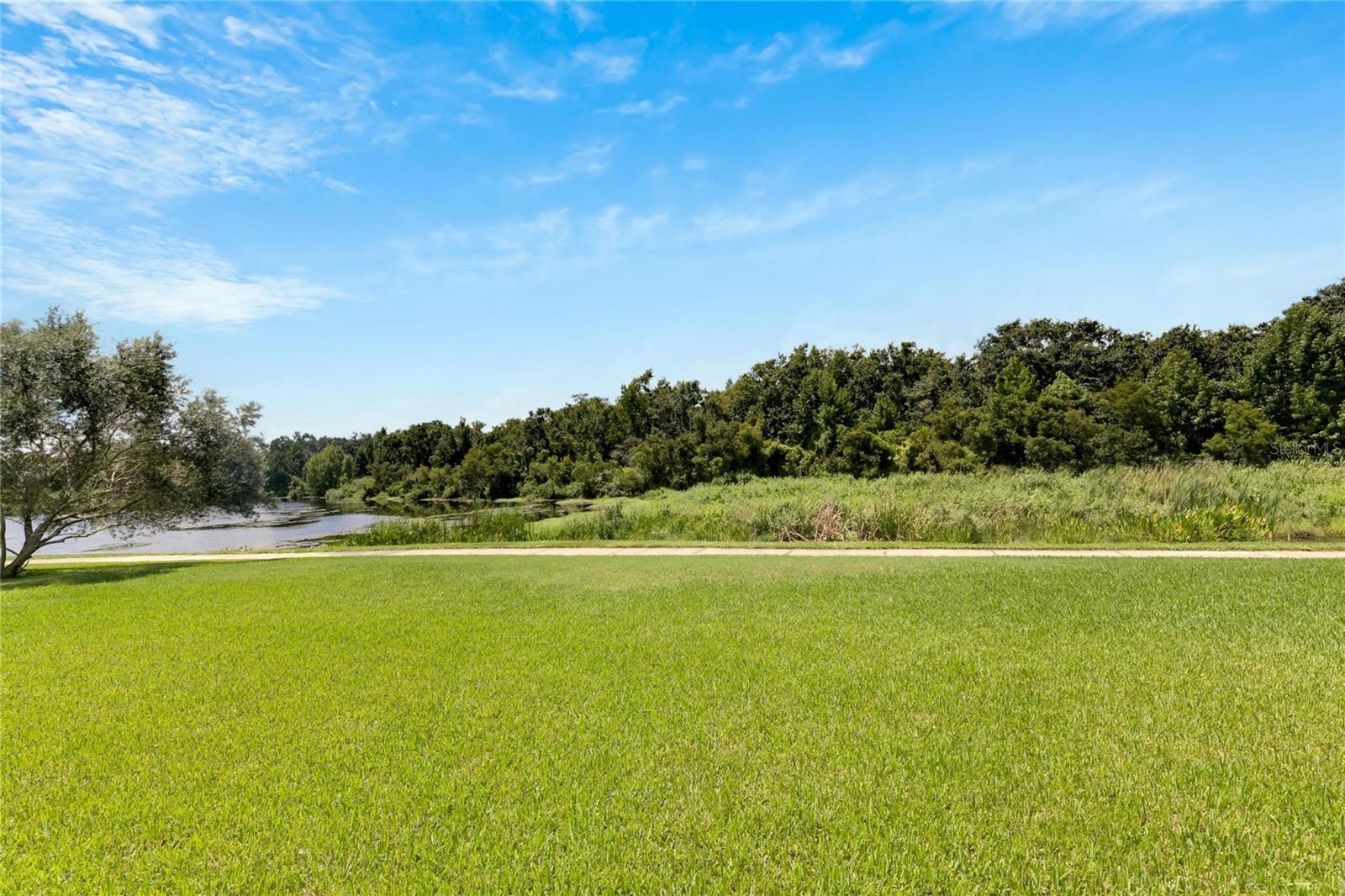 16149 BRIDGEPARK DR, LITHIA, FL, 33547
