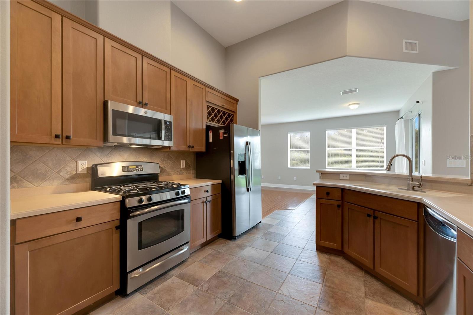 16149 BRIDGEPARK DR, LITHIA, FL, 33547