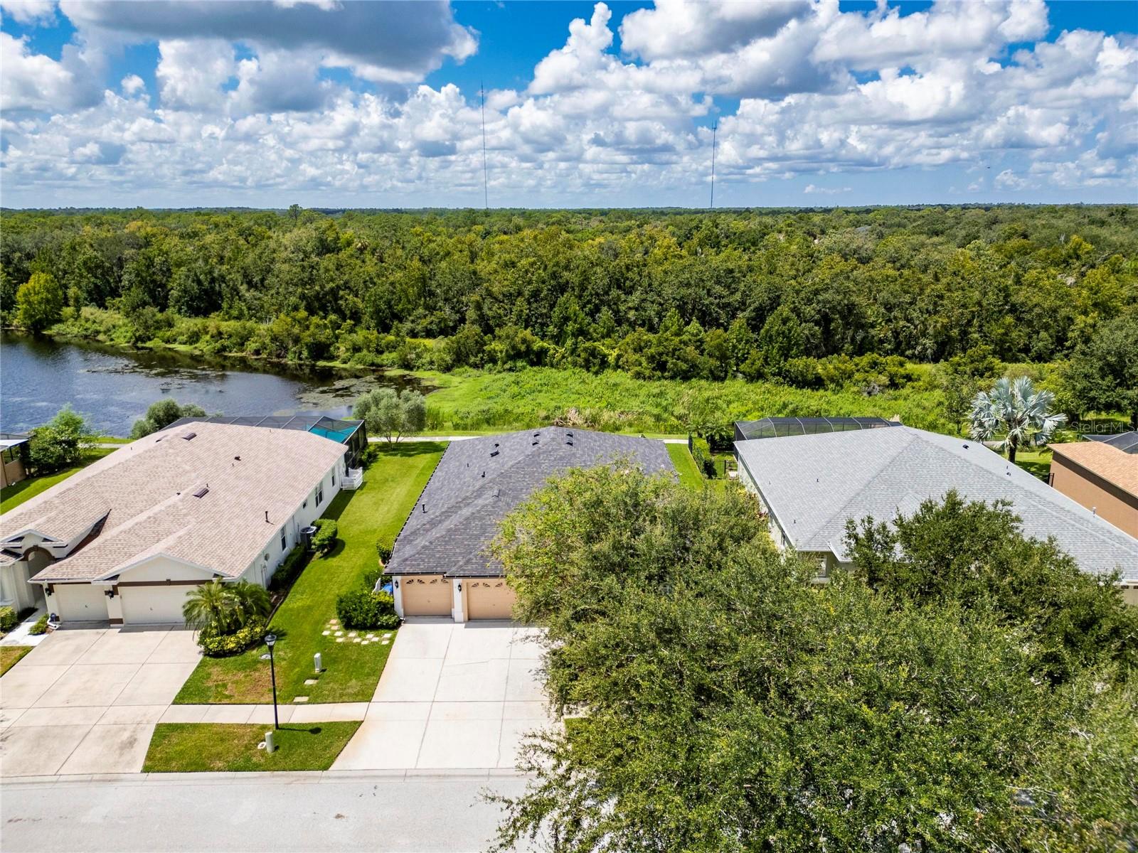16149 BRIDGEPARK DR, LITHIA, FL, 33547